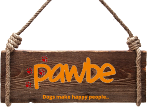 Pawbe - Buy Puppies Online