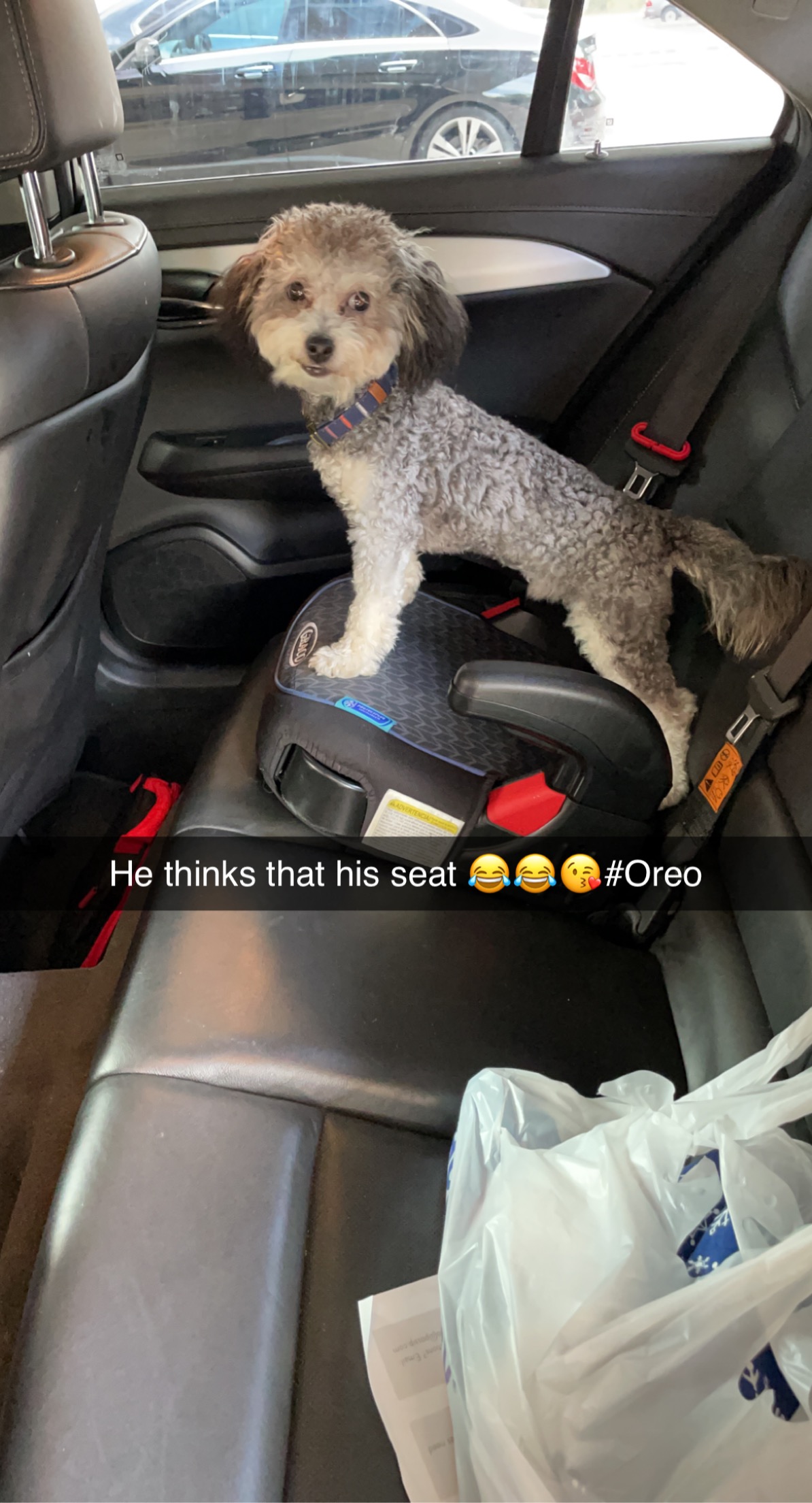 Oreo