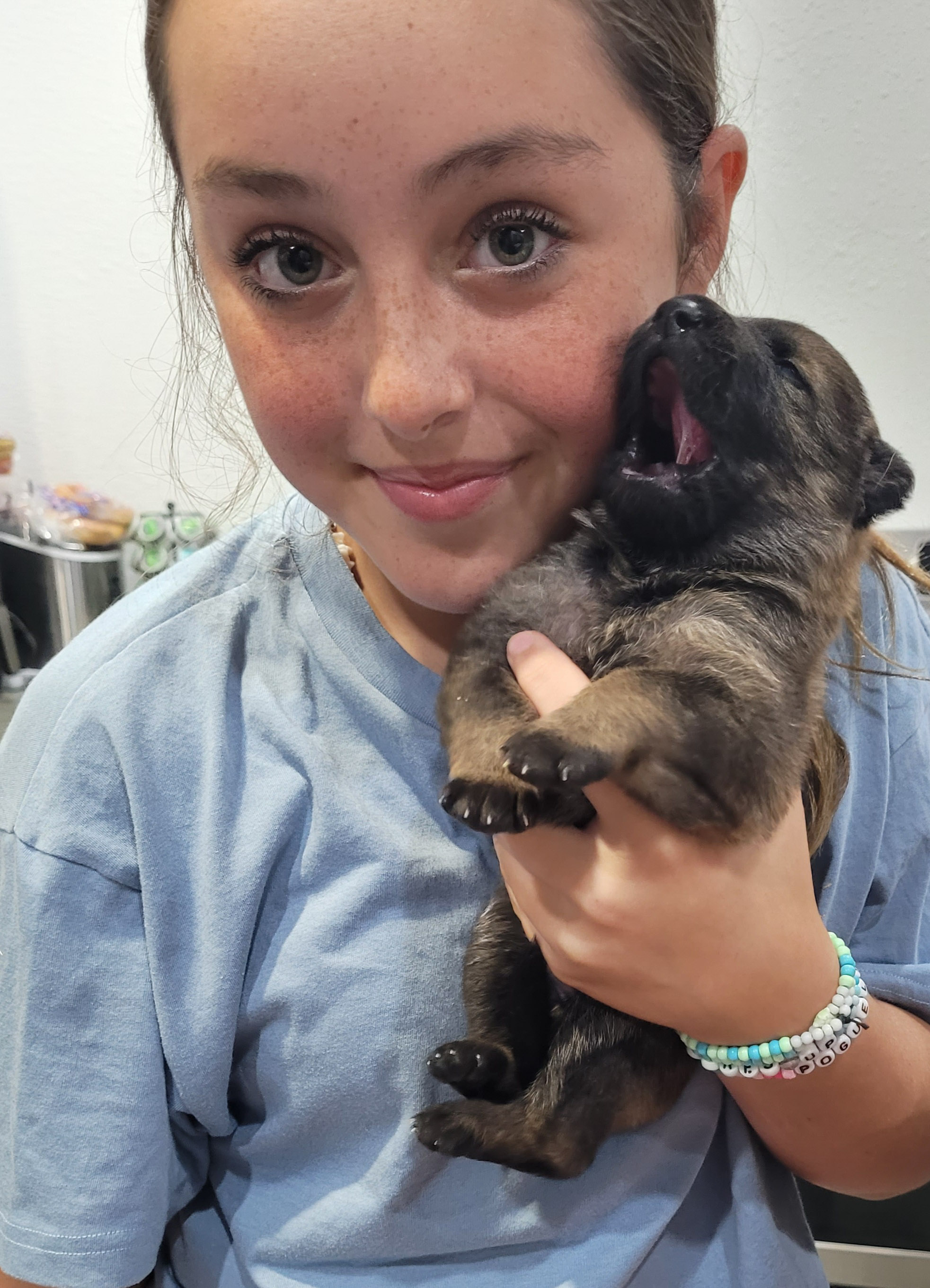 German Shepherd pups -Taking Deposits now!
